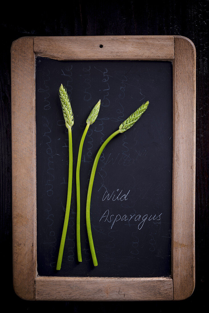 Wild Asparagus on a slate