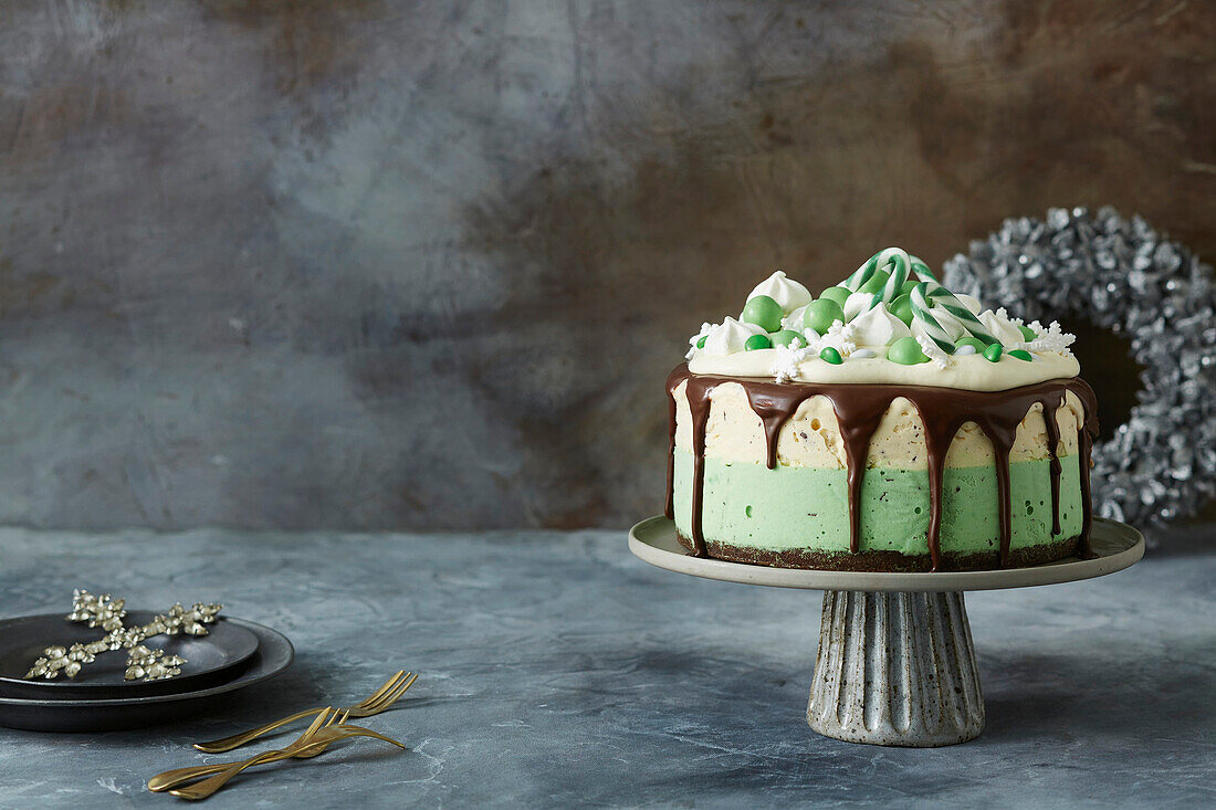 Ice cream cake with chocolate chips and green candy cane