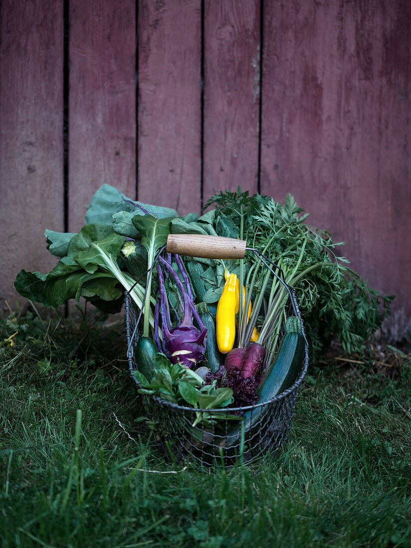 A basket of freshly harvested vegetables