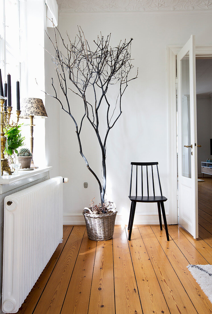 Bare branches arranged in basket next to chair