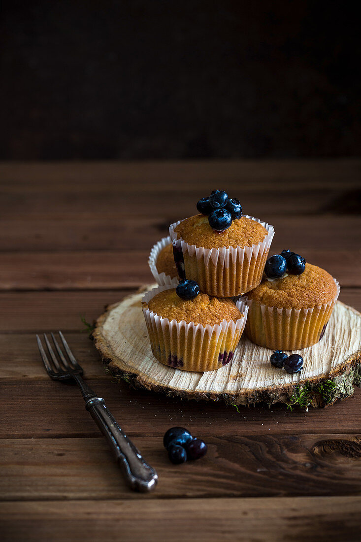 Blaubeermuffins auf Baumscheibe