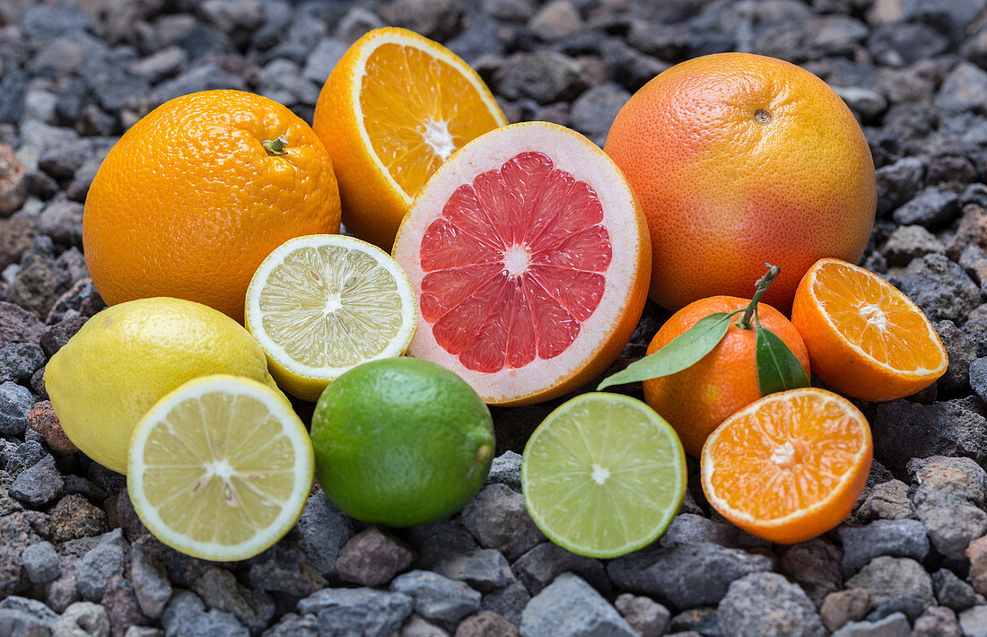 Various citrus fruits displayed on pebbles