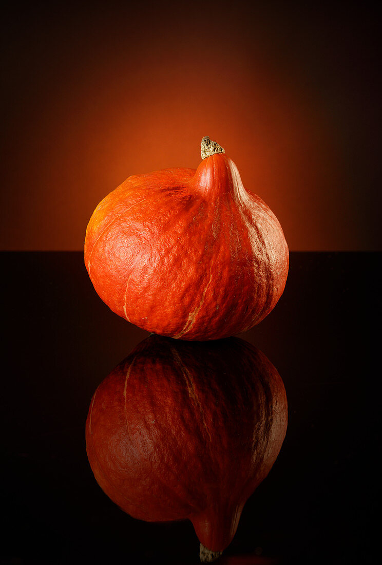 A Hokkaido pumpkin against a dark background