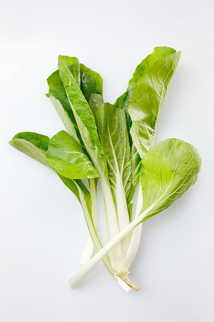 Bok choy on a white surface