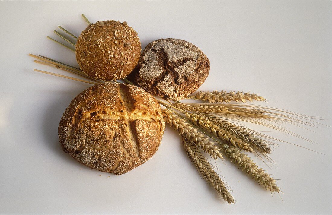 Drei verschiedene Brote & Getreide