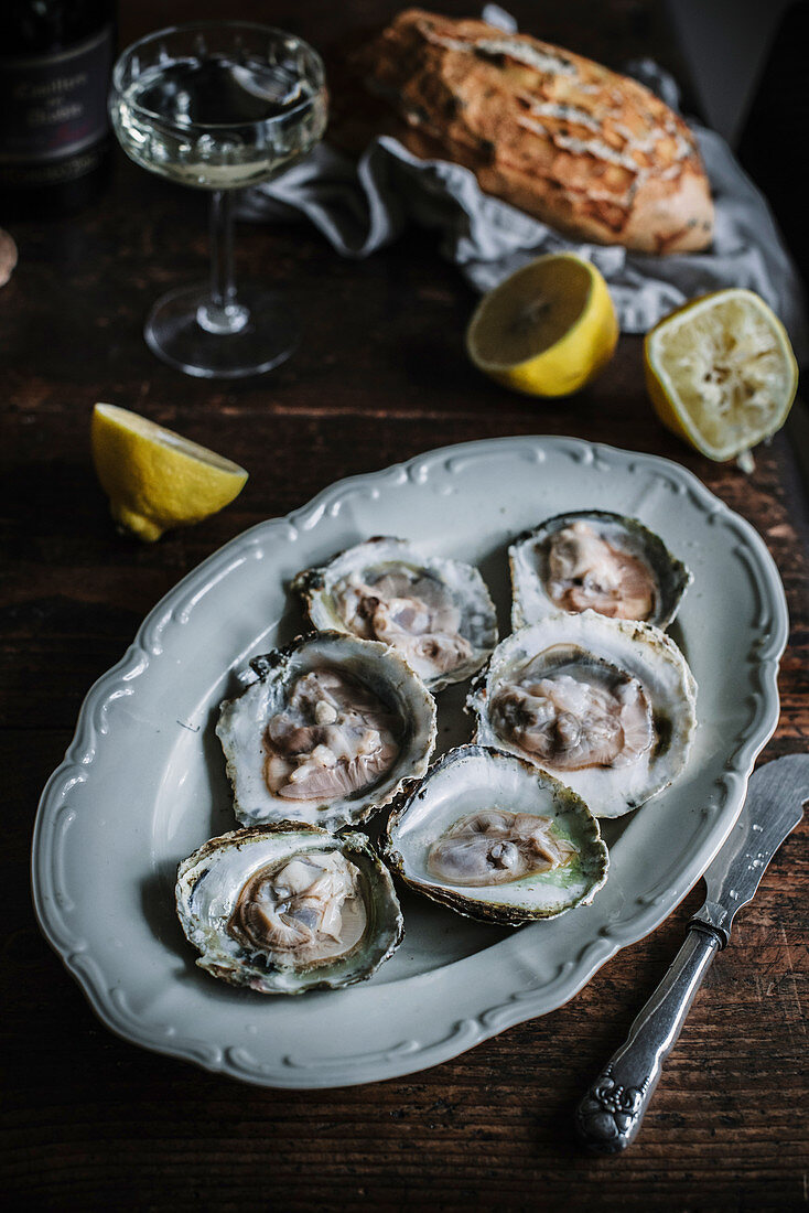 Fresh oysters with lemons and bread