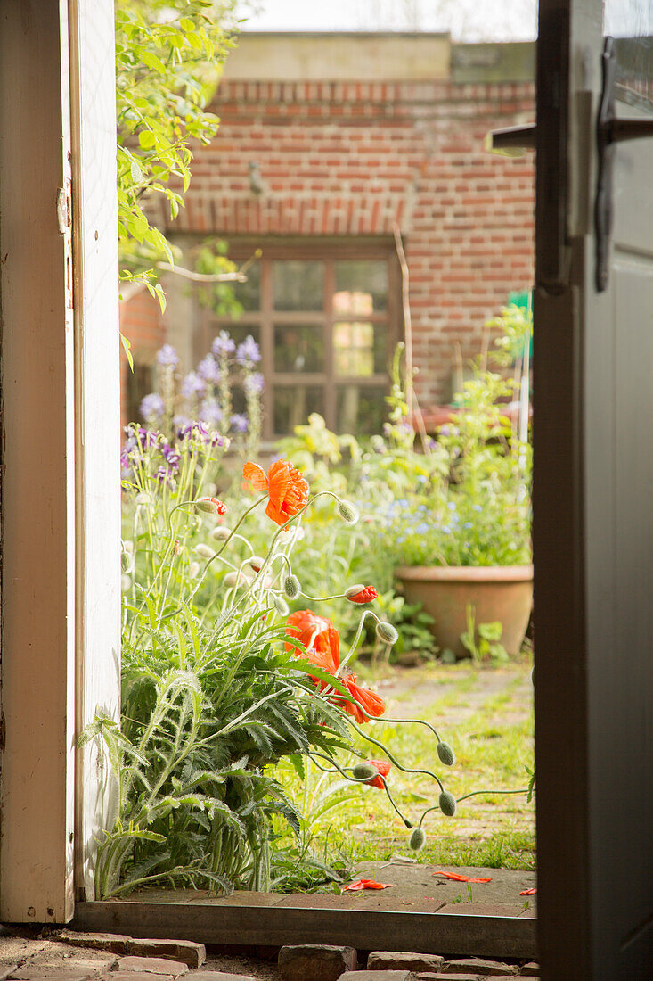 Blick durch offene Tür in den sommerlichen Innenhofgarten