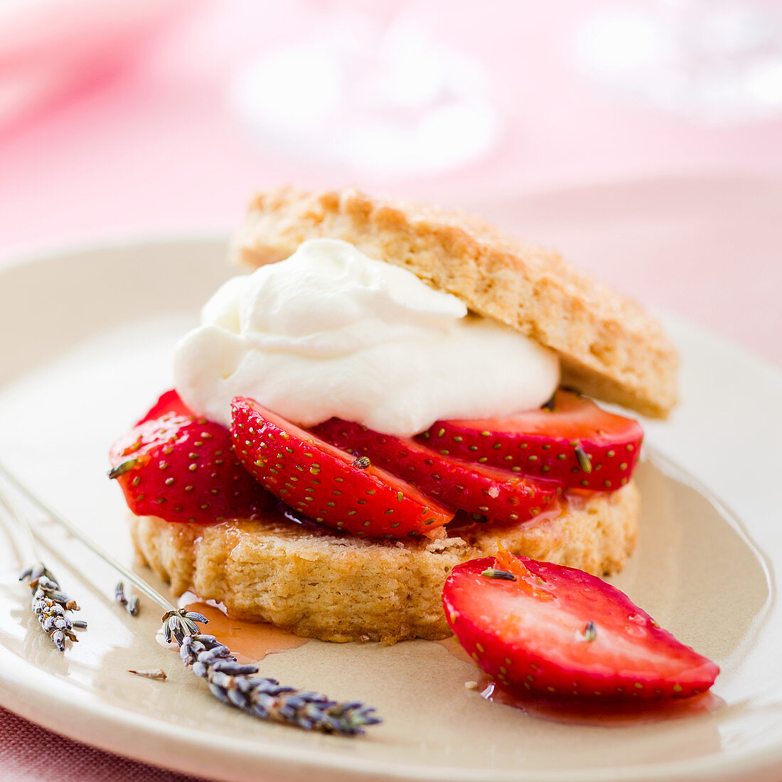 Strawberry shortcake with lavender and cream (USA)