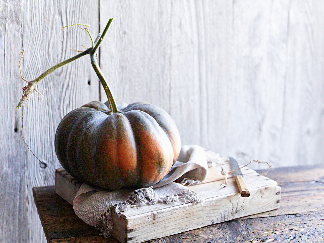 A nutmeg pumpkin on a wooden board with a cloth and a knife