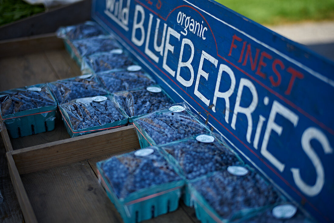 Organic blueberries at a market