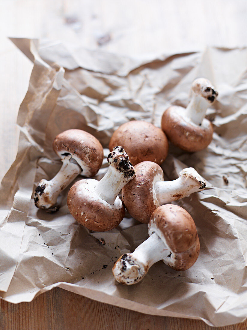 Brown stone mushrooms on paper