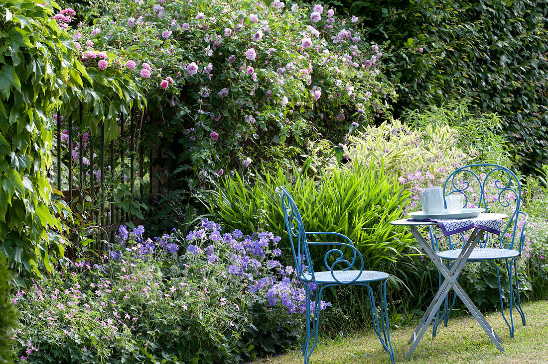 Small seat at the flower bed with geranium (cranesbill), Symphytum