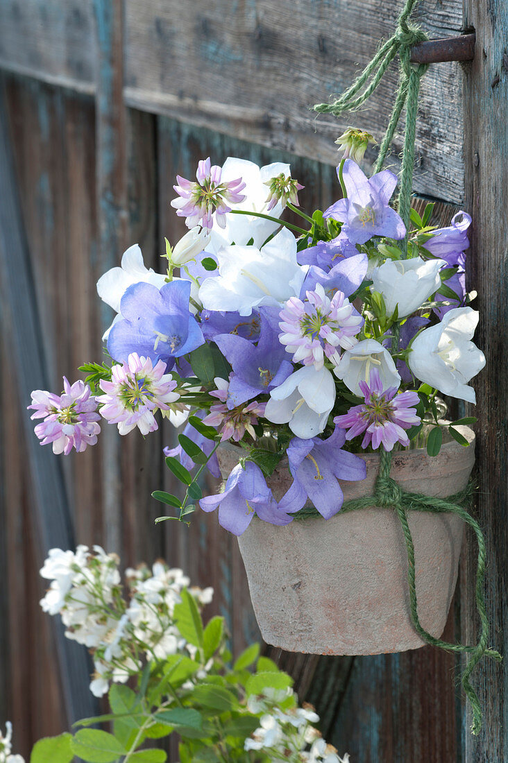 Kleiner Strauß aus Campanula ( Glockenblumen ) und Coronilla