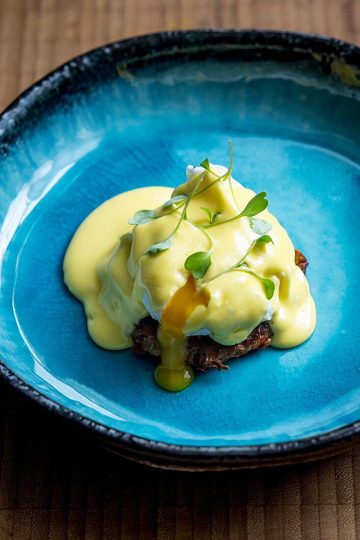 Räucherforellenbratling mit Spargel, pochiertem Ei und Sauce Hollandaise