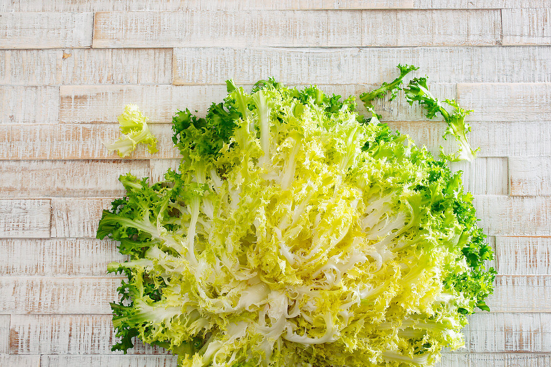 curly endive lettuce