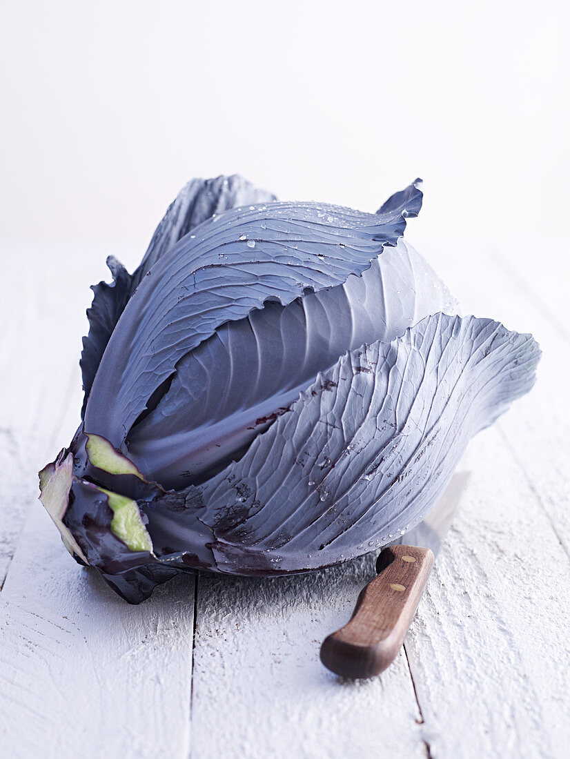 Red cabbage and a knife on a white wooden background