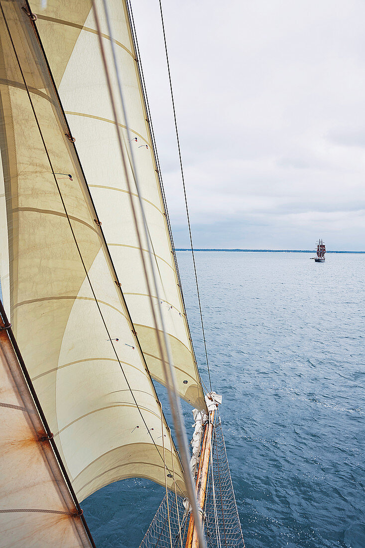 Segelschiff 'Kvartsita' aus Schweden, Blick vom Hauptmast zum Bug, Hanse Sail, Rostock, Deutschland