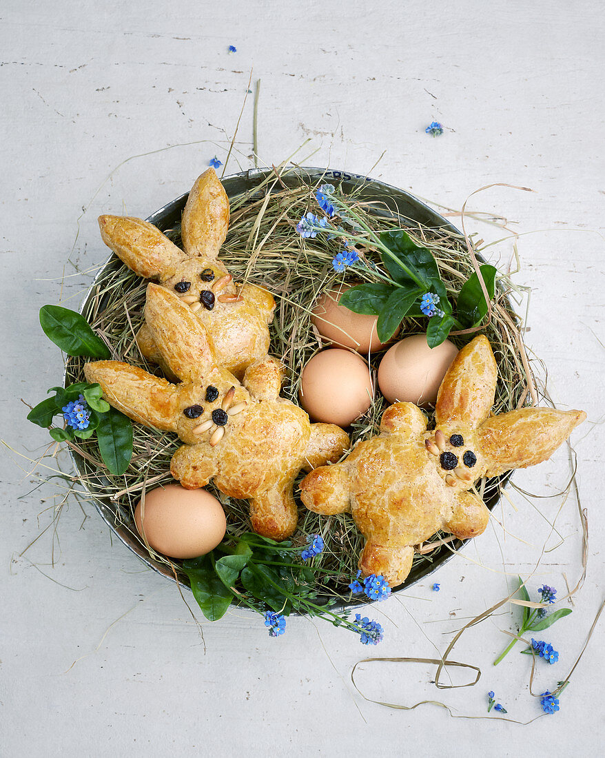 Rüblihäschen zu Ostern