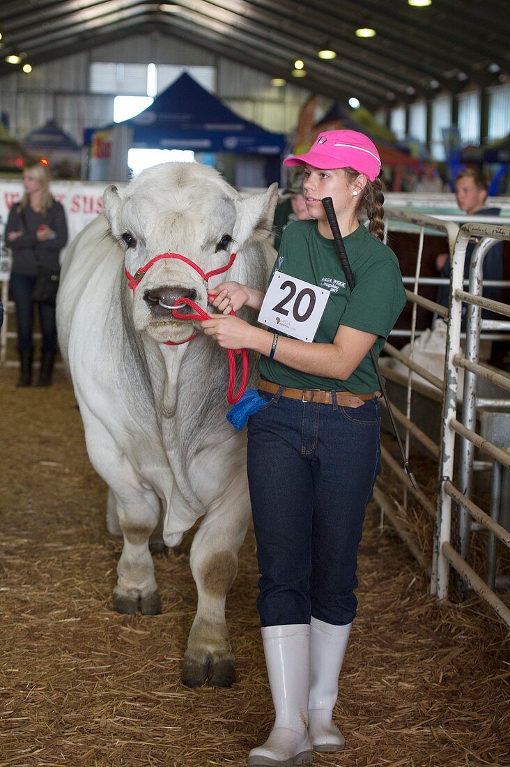 Young contestant at agricultural show