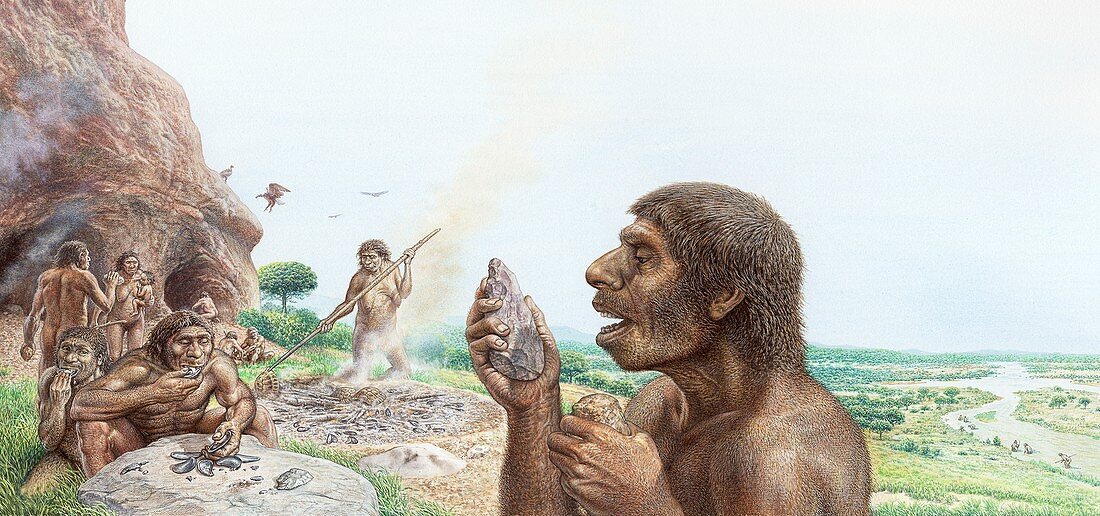 Neanderthals in Gibraltar, illustration