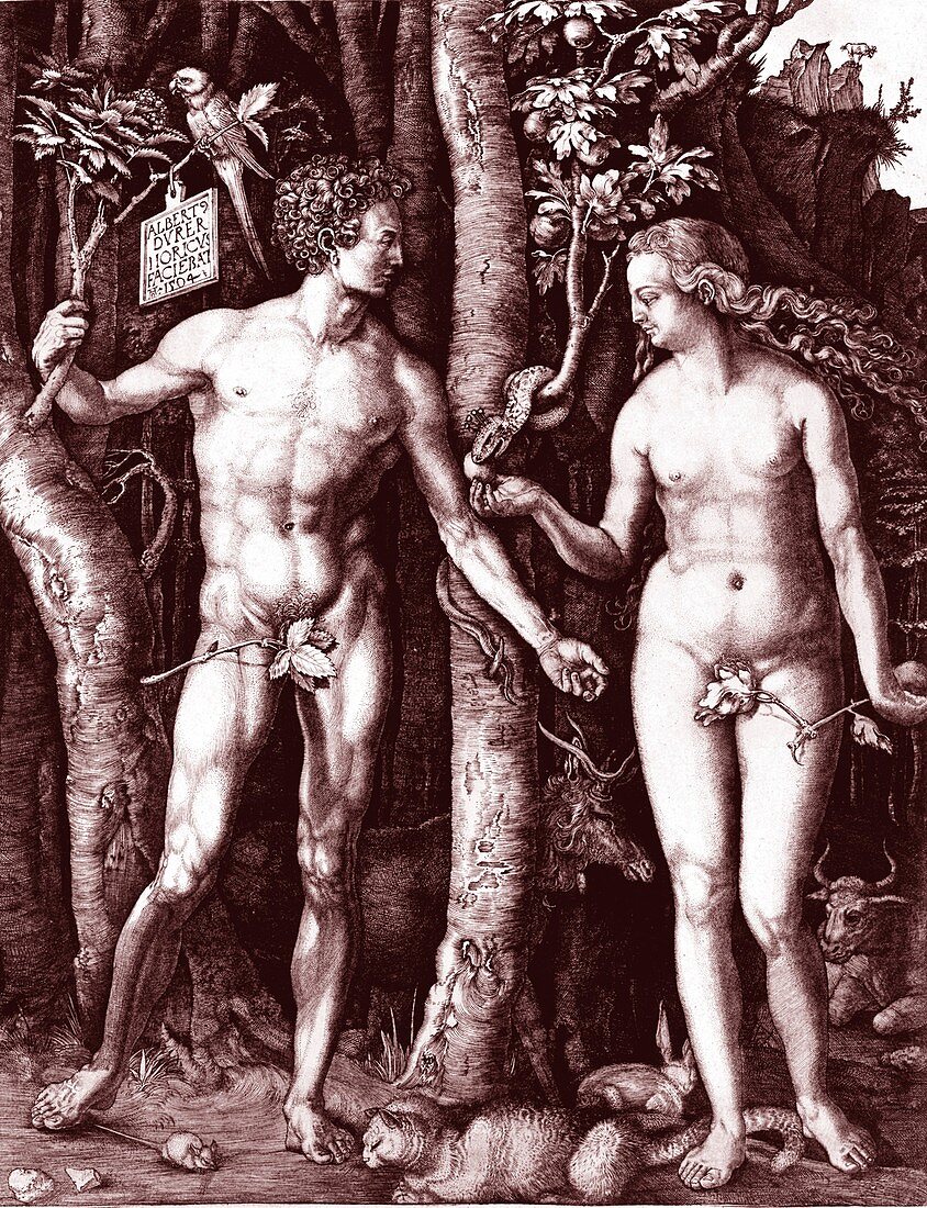 Adam and Eve, 1754 illustration