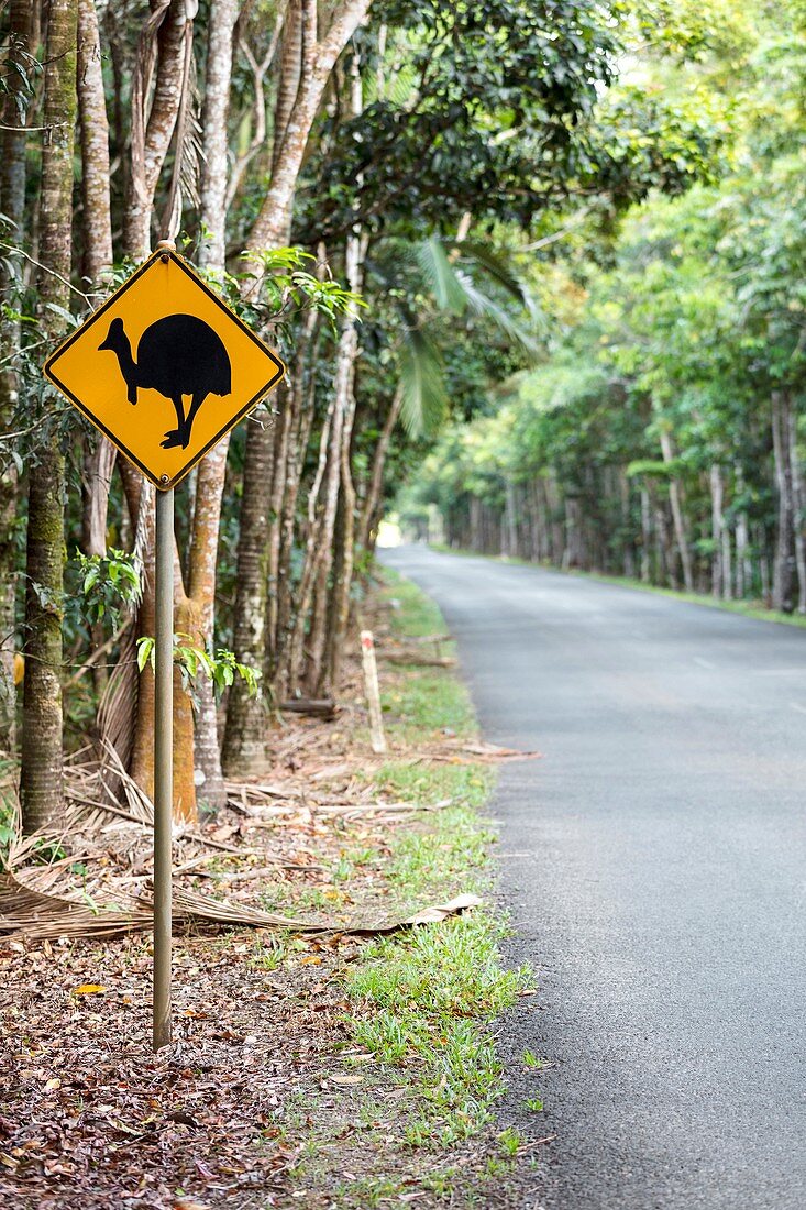 Cassowary road sign, Queensland, Australia