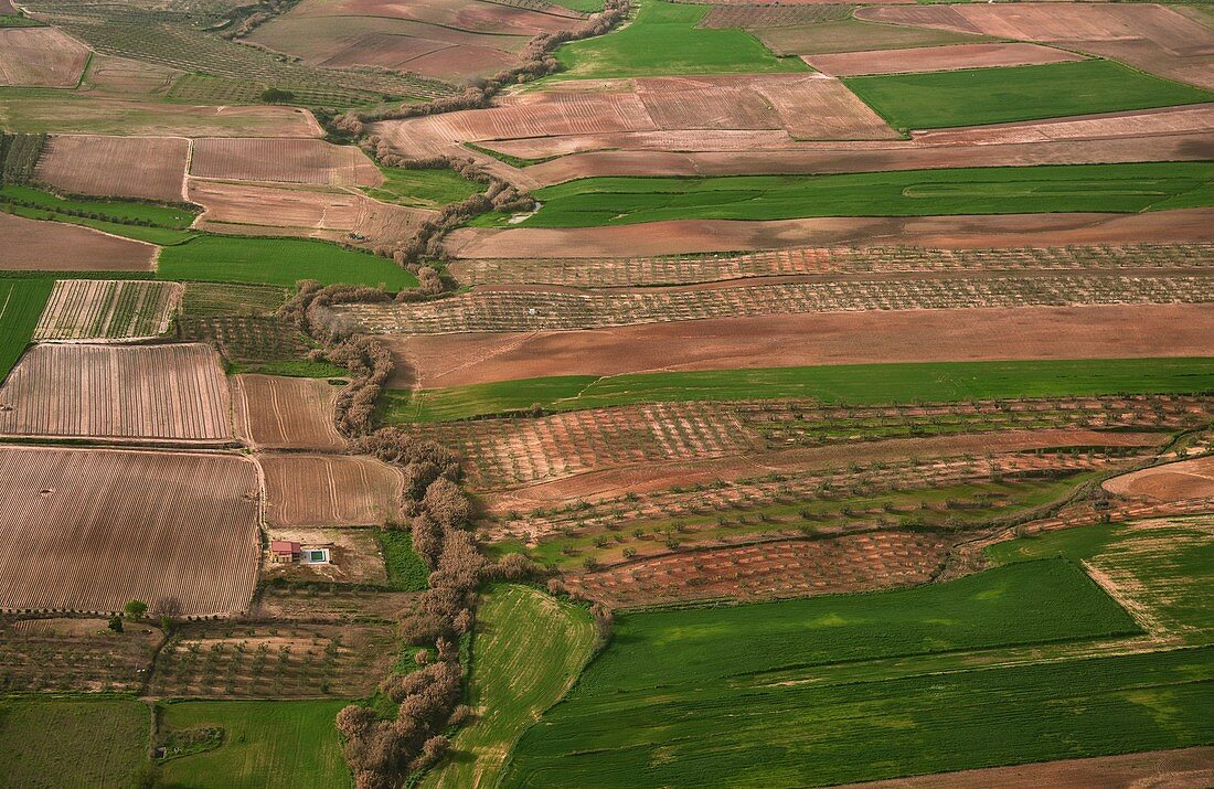 Arable farmland, Spain, aerial photograph