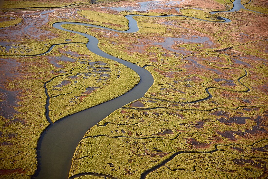 Canal through marshes, aerial photograph