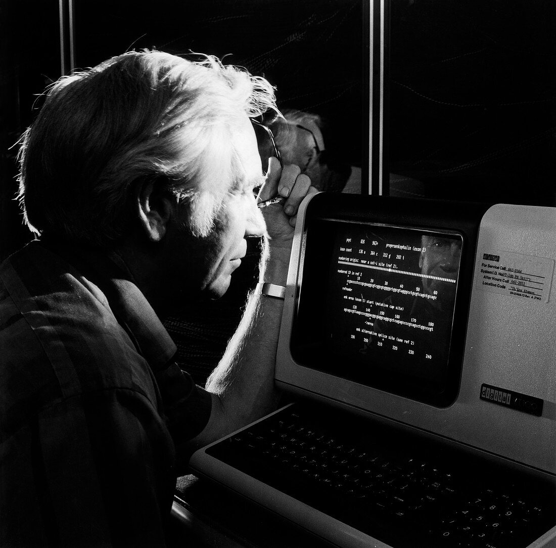 Walter Goad at a GenBank computer, 1984