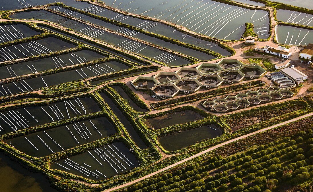 Aquaculture pens, Algarve, Portugal, aerial photograph