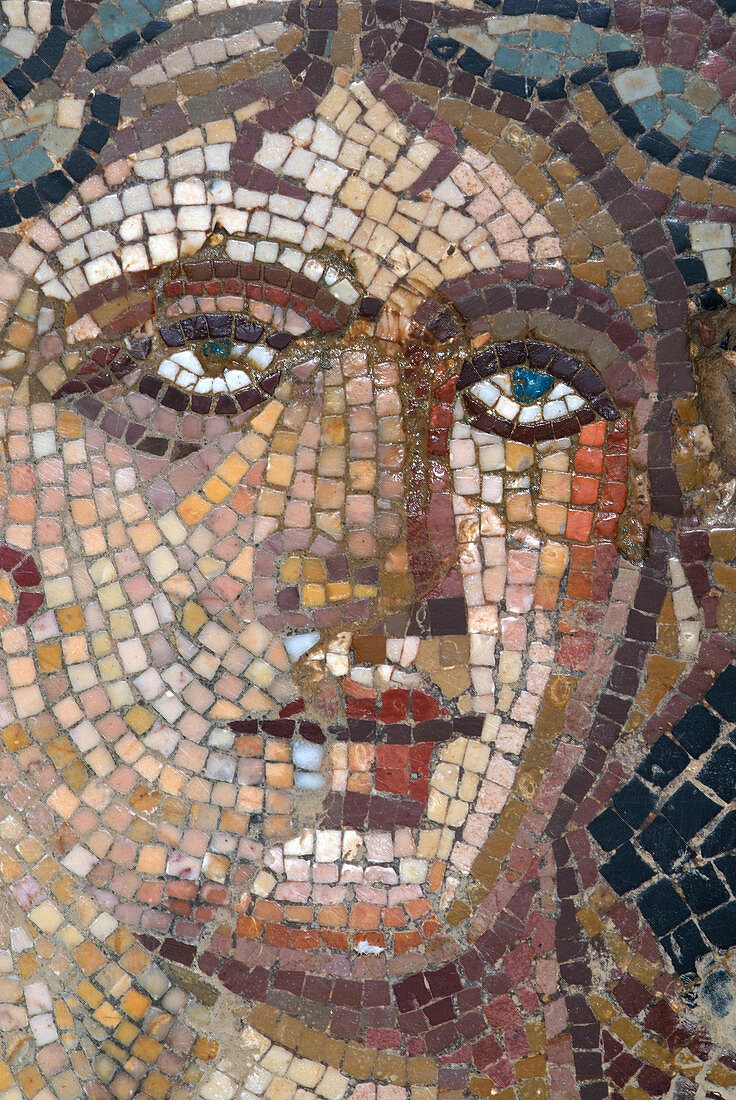 Roman mosaic from Bulla Regia, Tunisia