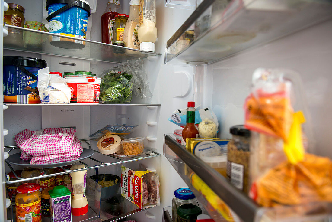 Refrigerator contents