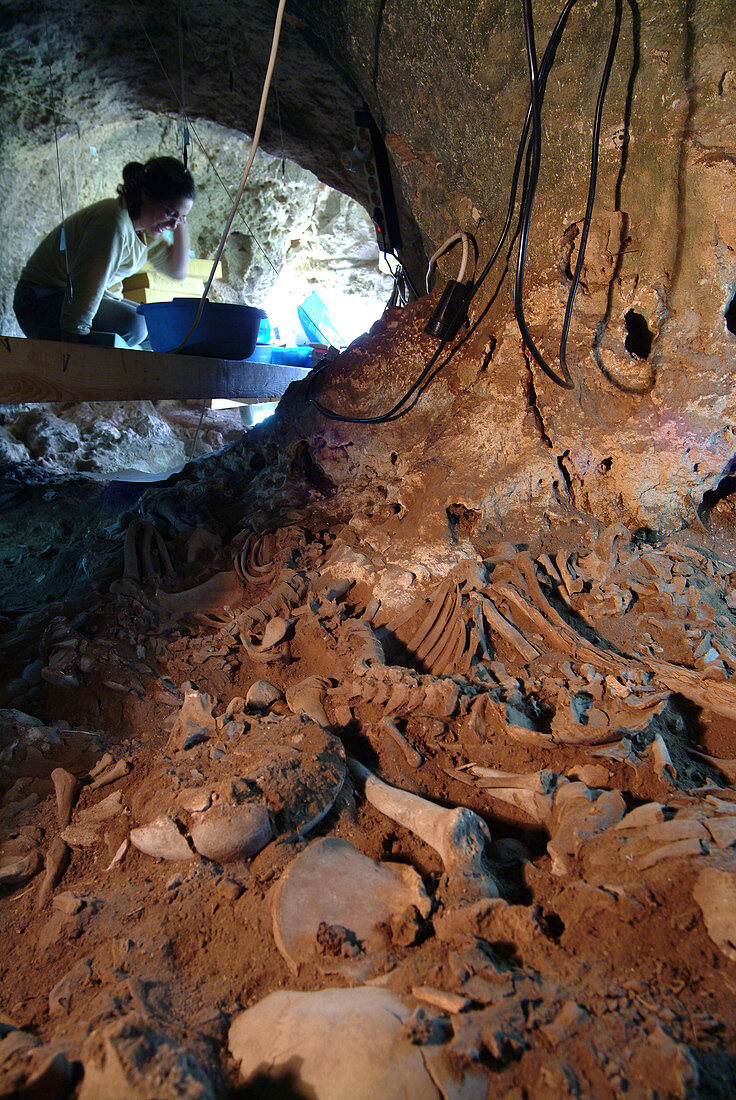 Excavation at the Cova des Pas prehistoric site