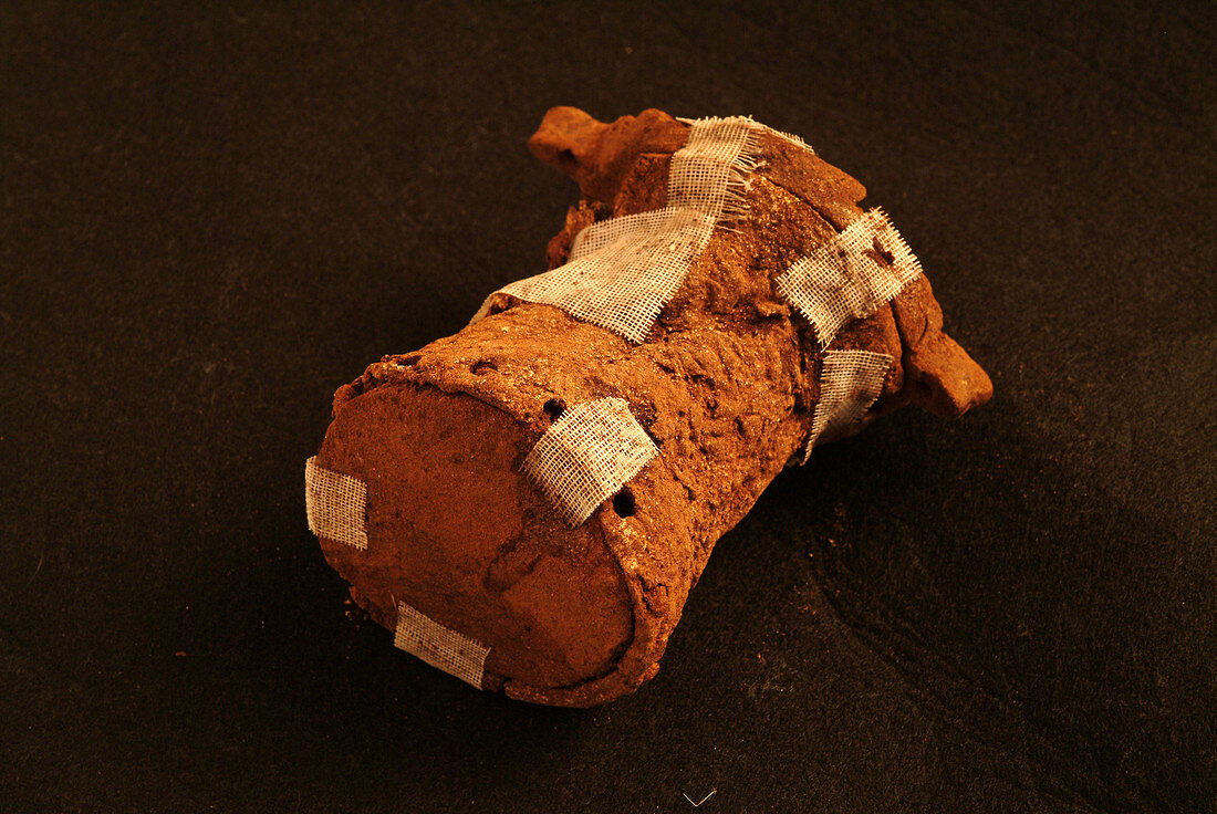 Prehistoric ritual leather object, Cova des Pas site