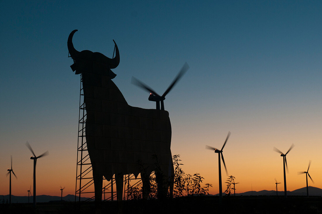 Bull advertising sign and wind turbines at sunset