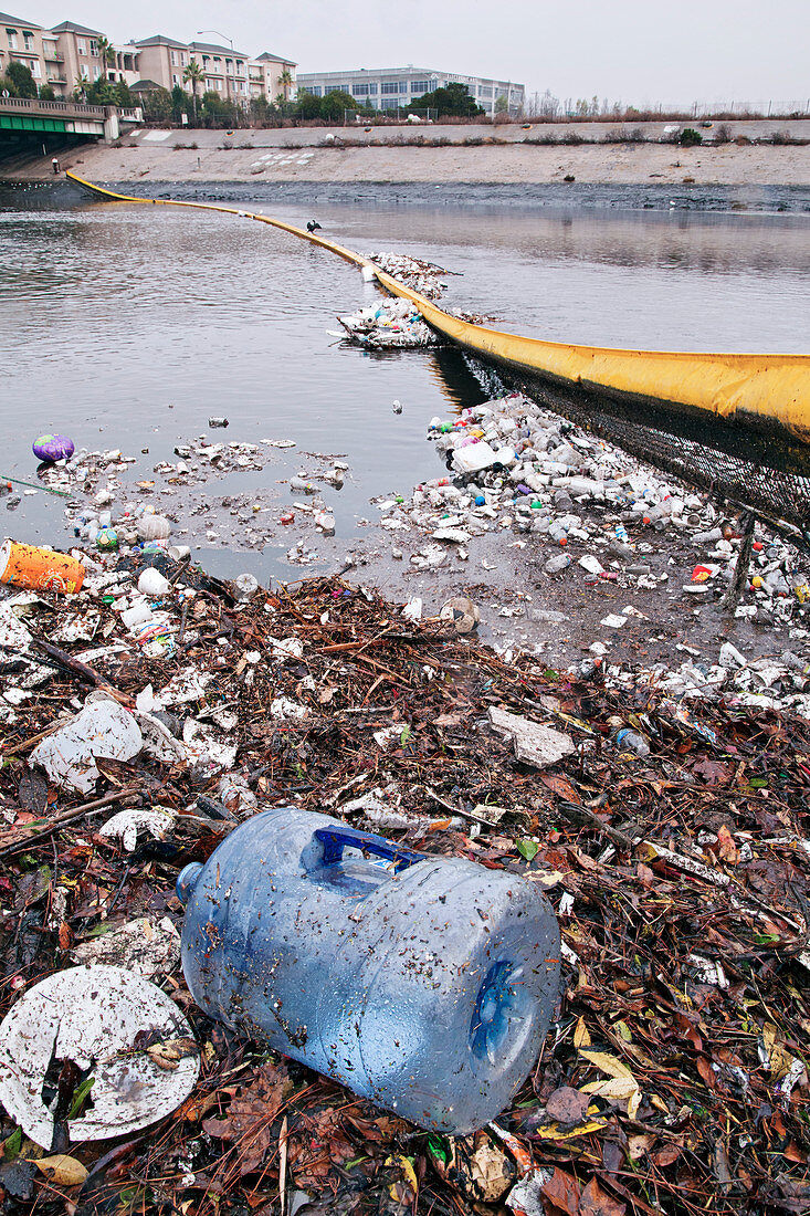 Trash collects on Ballona Creek after rainfall