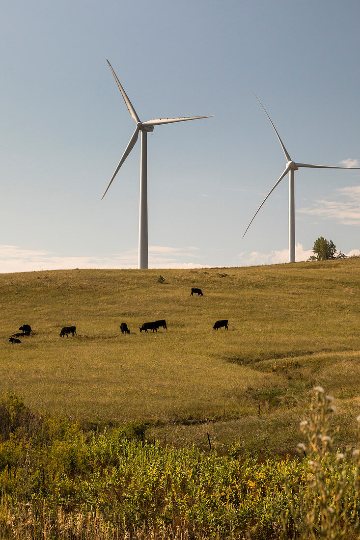 Wind turbines, Colorado, USA