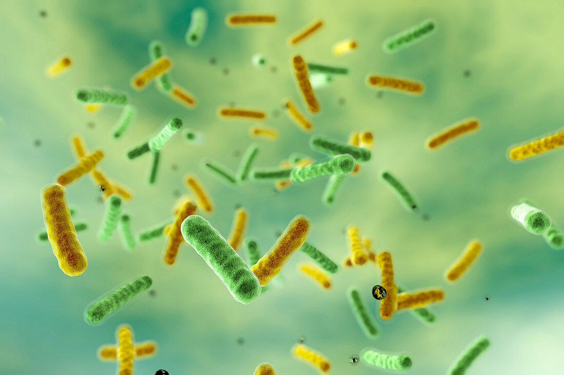 Bacteria in water, illustration