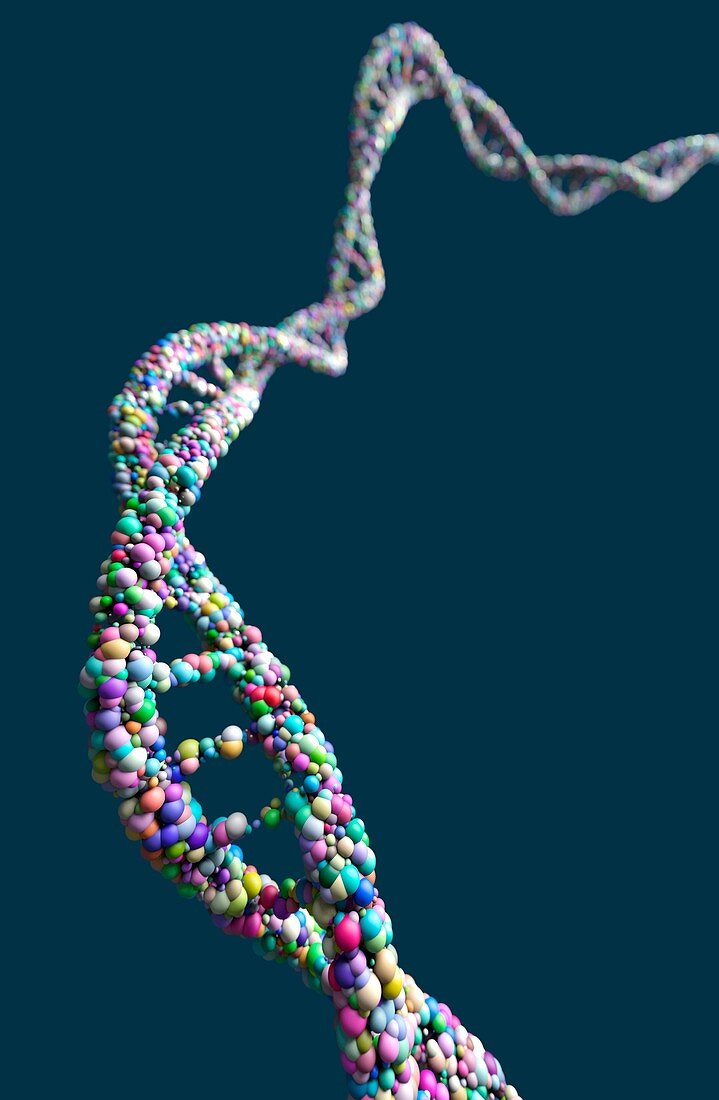 DNA strand against a blue background, illustration