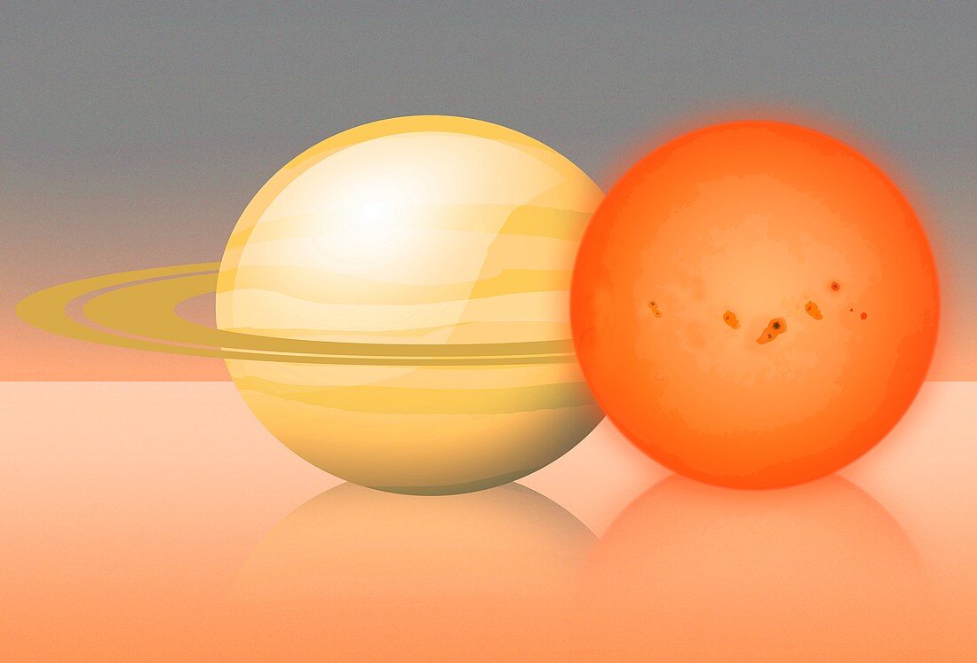 Red dwarf star compared to Saturn, illustration