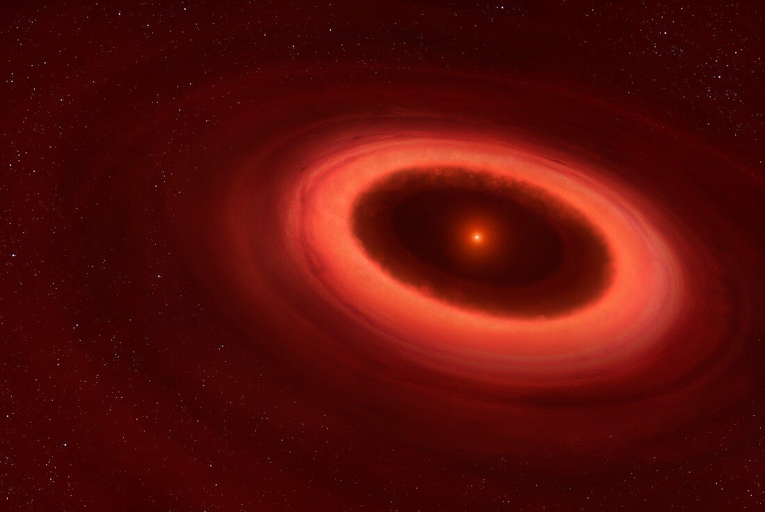 Disc around Proxima Centauri, illustration