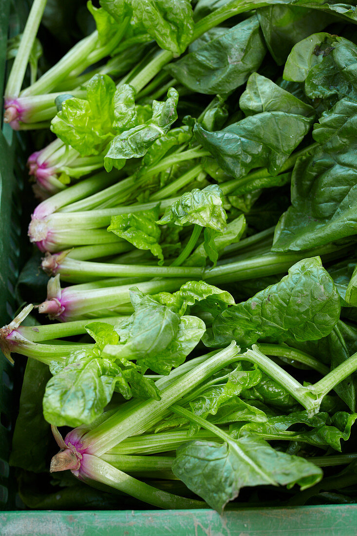 Fresh spinach in a green crate