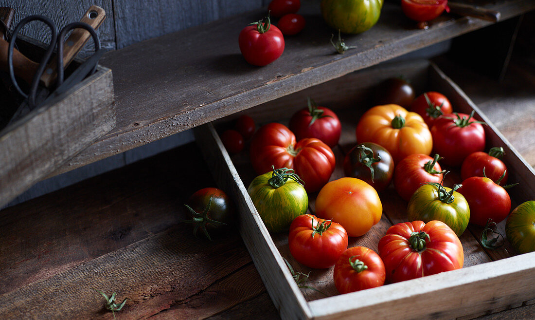 Rote und grüne Tomaten in Steige