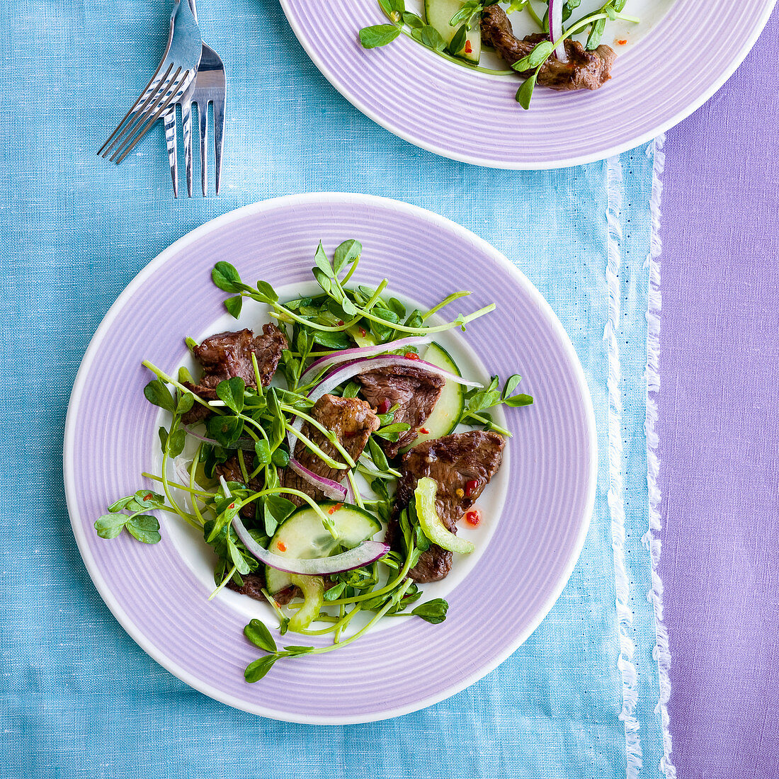 Thai Beef Salad with Cilantro and Sprouts