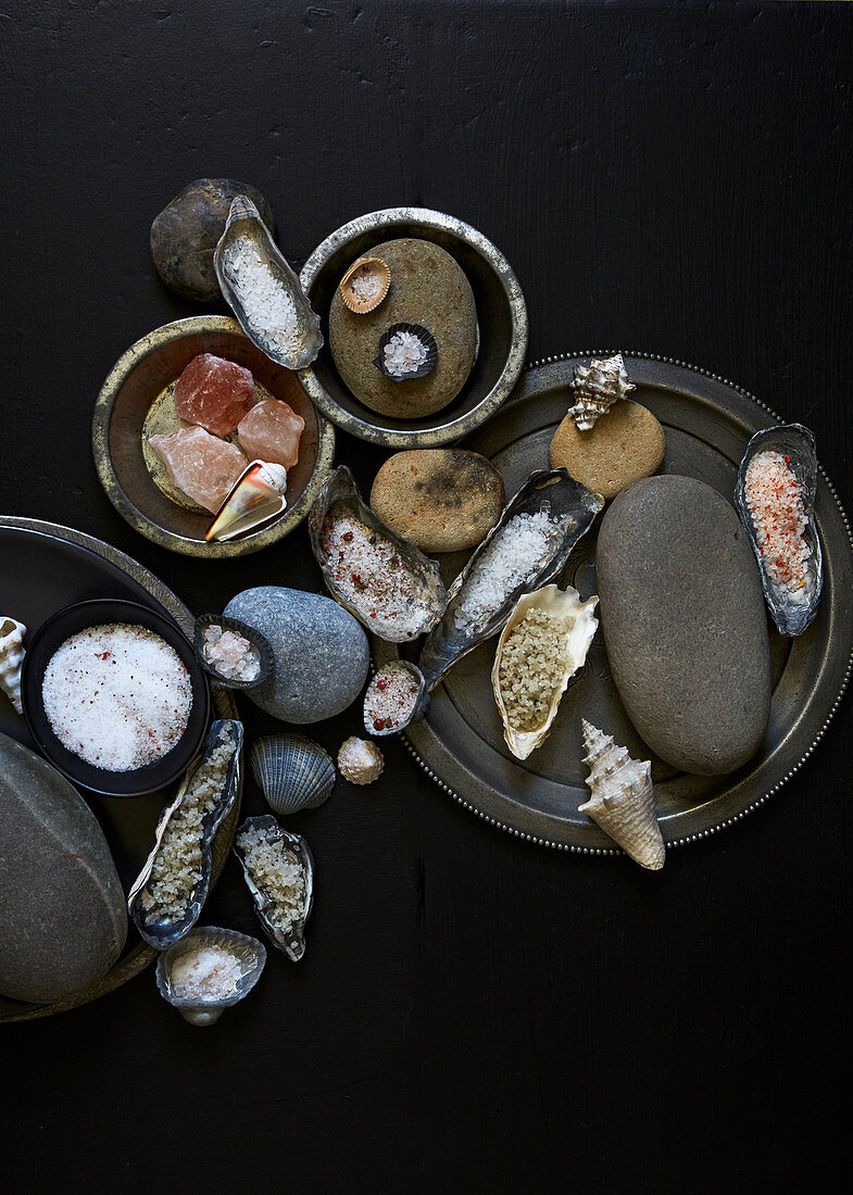 Verschiedene Salzsorten in Muschelschalen