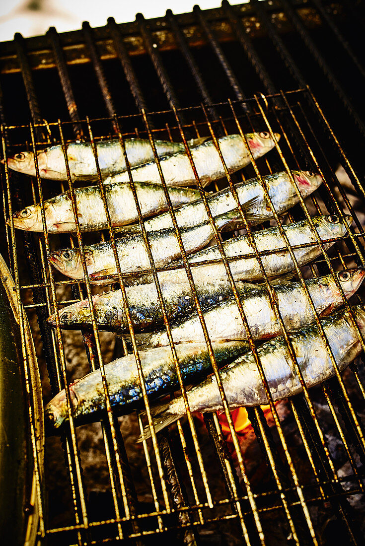 Sardines on a barbecue