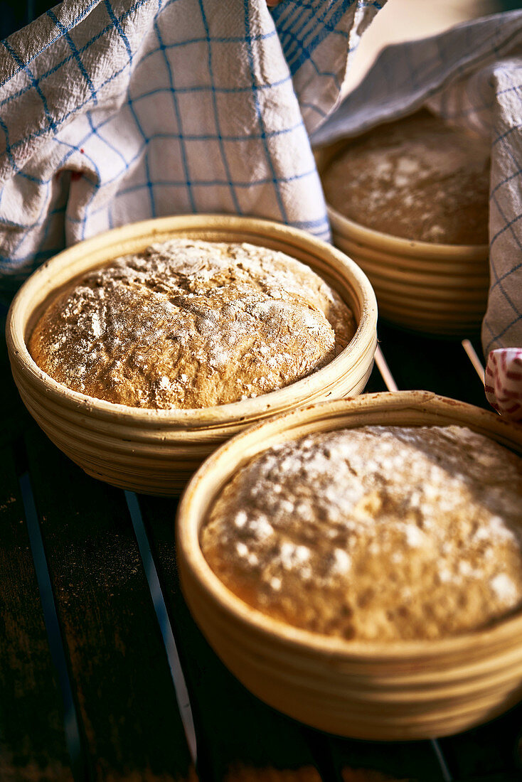 Crusty Fürstätt bread in proofing baskets