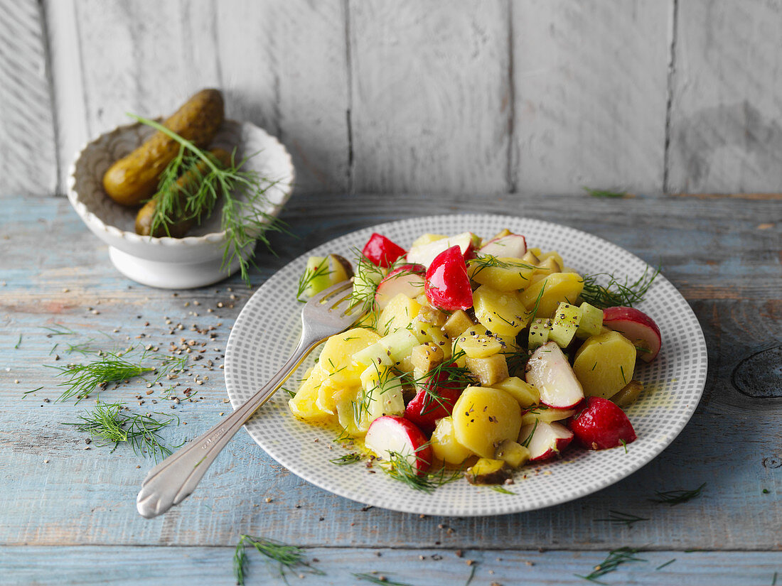 Potato and cucumber salad with radishes