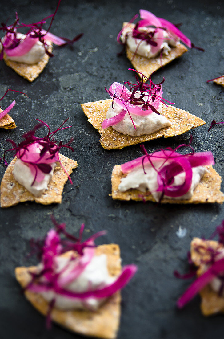 Tortilla chips with mackerel cream, red wine onions and red amaranth shoots
