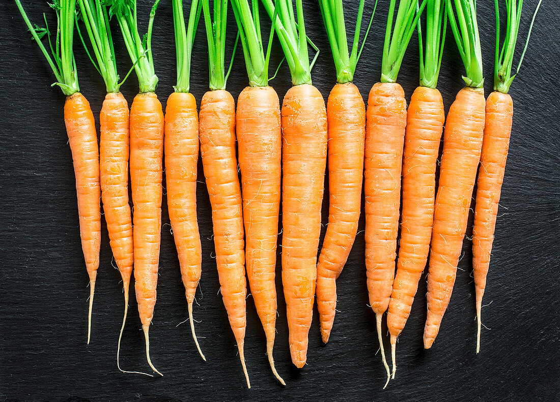 Fresh and sweet carrot on a slate background